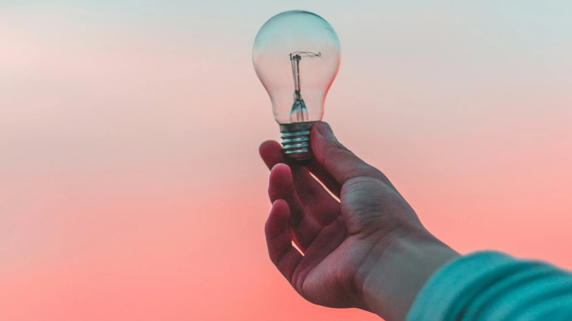 SurveyTransfer branding