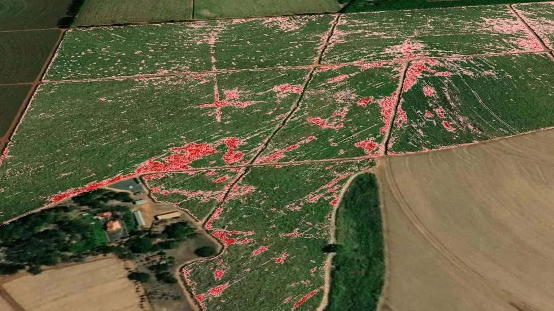 GIS software visualizing shapefile data